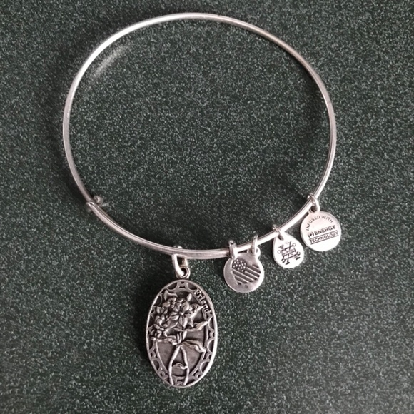 Alex And Ani Expandable Wire Bangle Bracelet Friend Charm 2016 - Picture 3 of 16